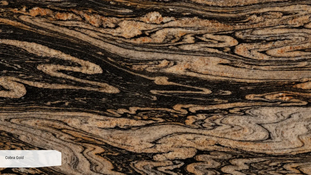 Scalla Naturale Cobra Gold в интерьере