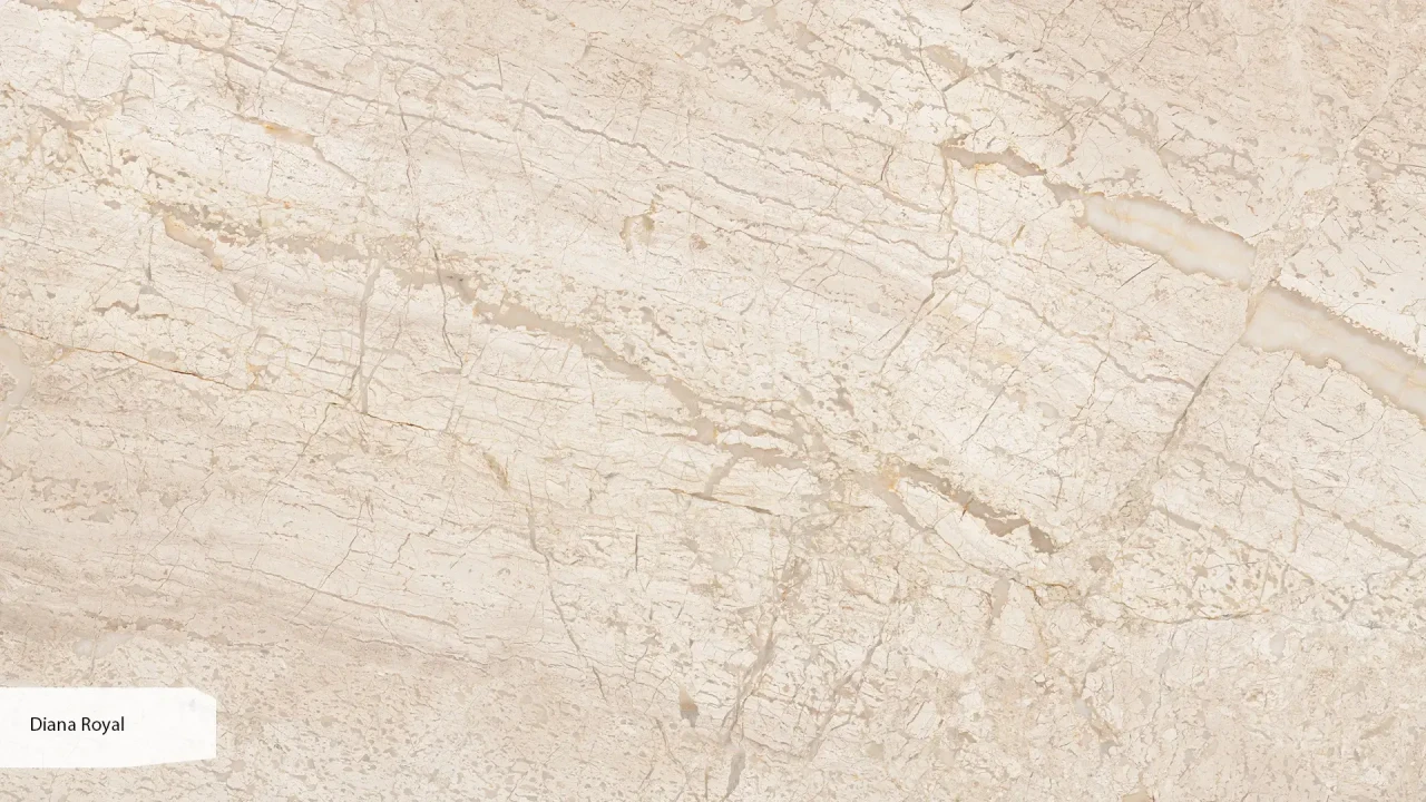 Scalla Naturale Diana Royal