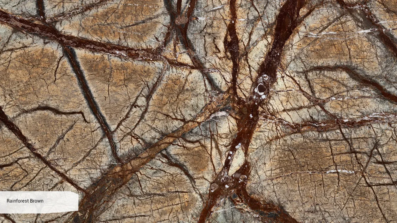 Scalla Naturale Rainforest Brown