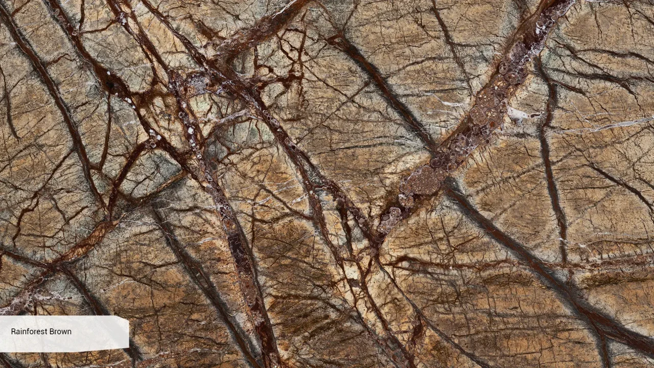 Scalla Naturale Rainforest Brown в интерьере