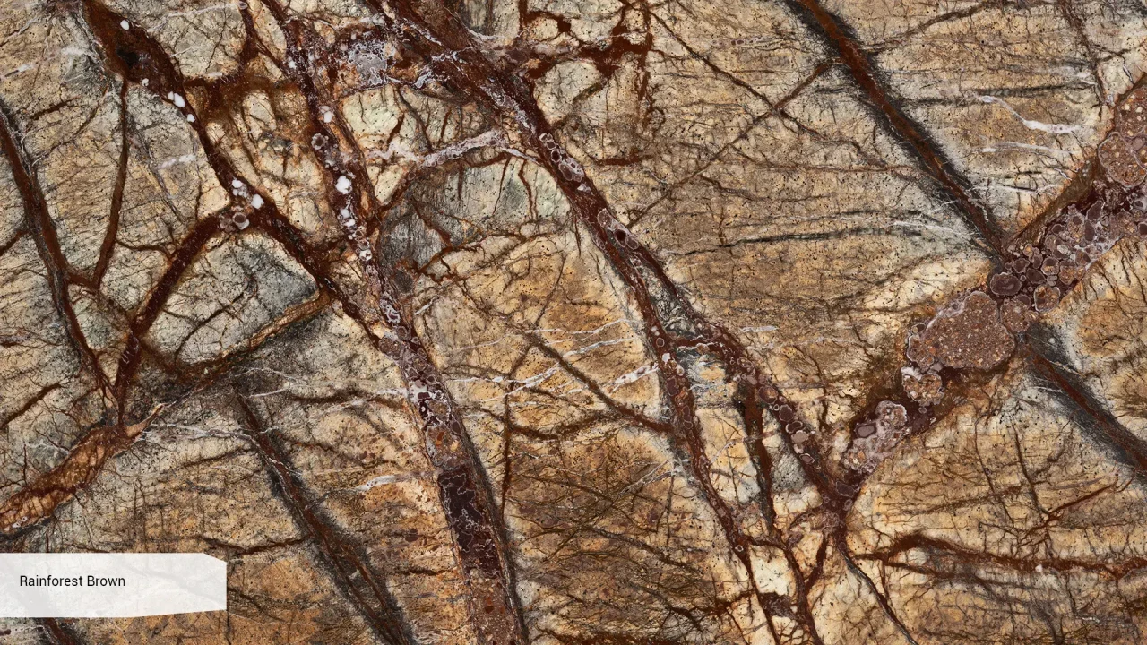Scalla Naturale Rainforest Brown в интерьере