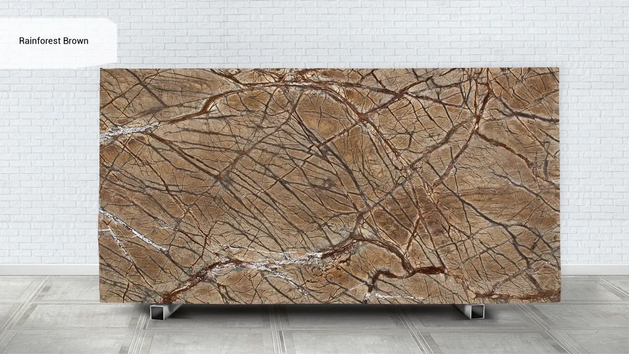 Scalla Naturale Rainforest Brown в интерьере