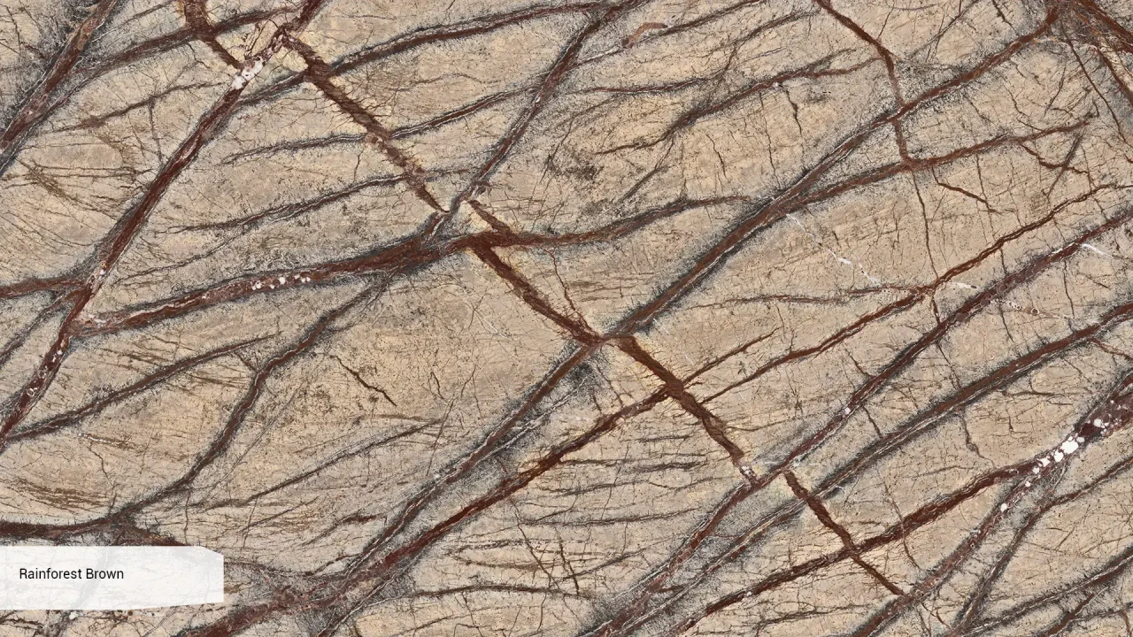 Scalla Naturale Rainforest Brown в интерьере