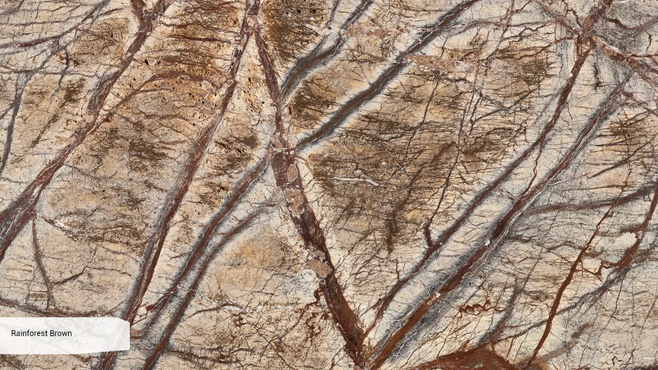 Scalla Naturale Rainforest Brown в интерьере