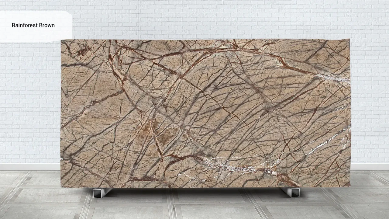 Scalla Naturale Rainforest Brown в интерьере