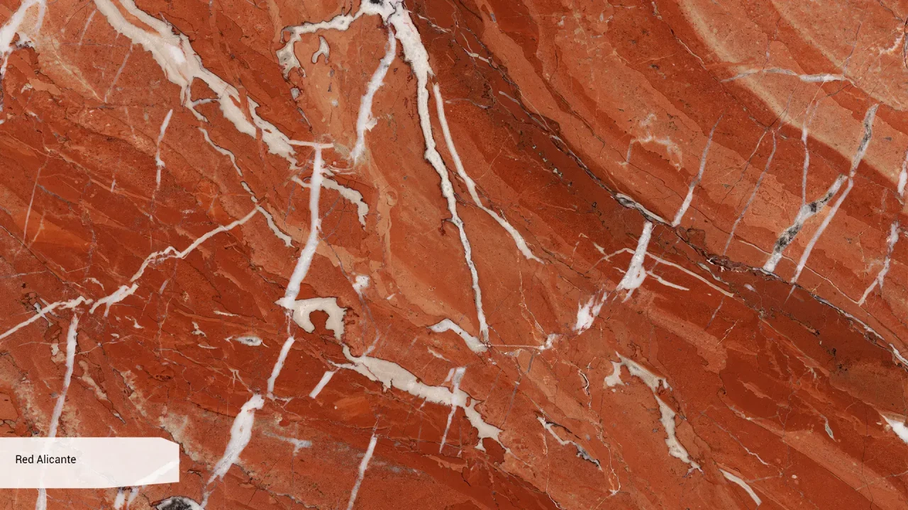 Scalla Naturale Red Alicante