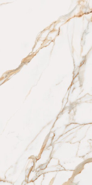 Calacatta Gold Calacatta Gold Polished 6 mm 120X300