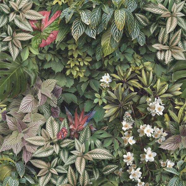 Decors Forest 120X280 6 mm