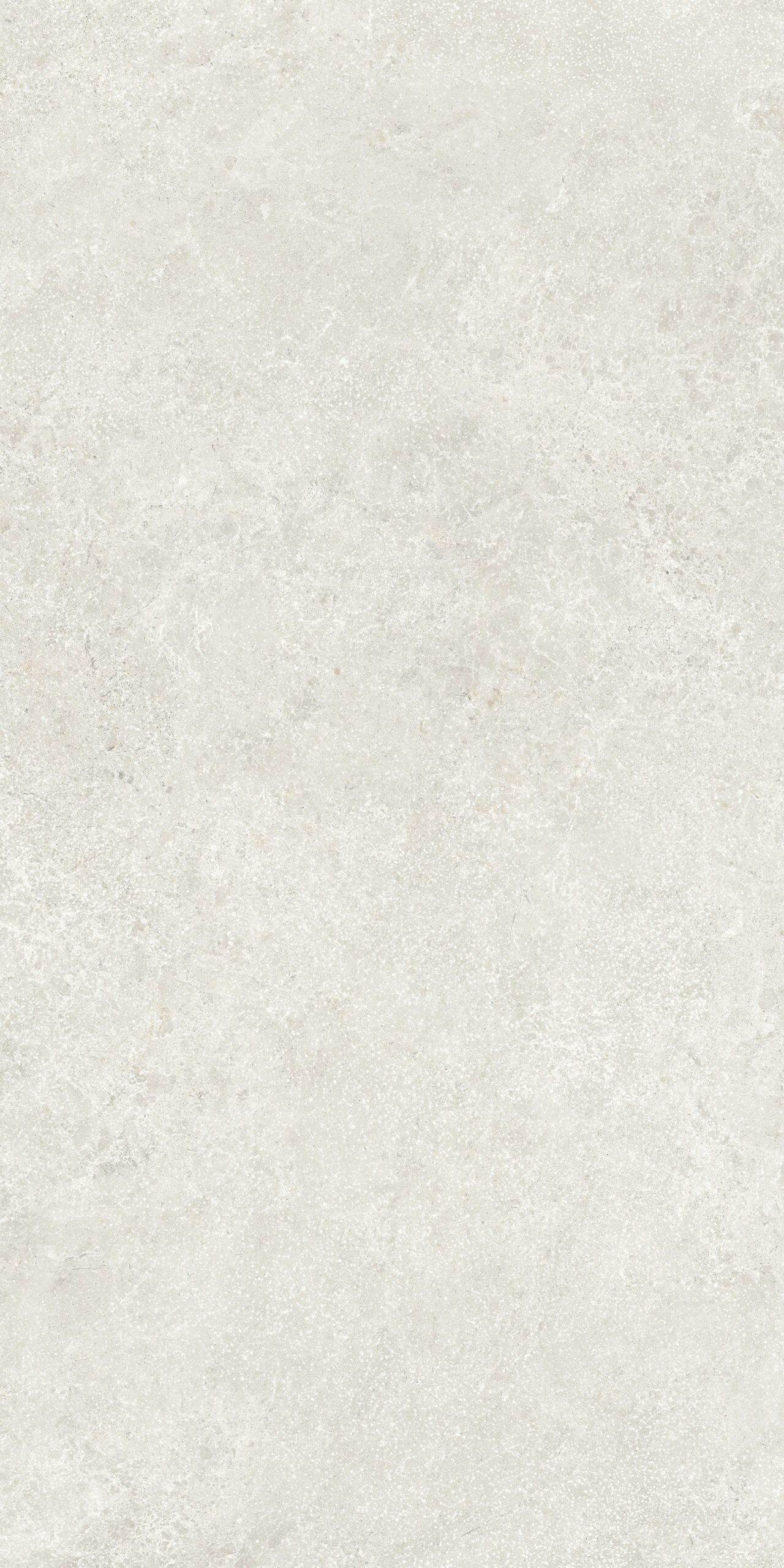 Pierre d’Avignon Blanc 20X40 9 mm