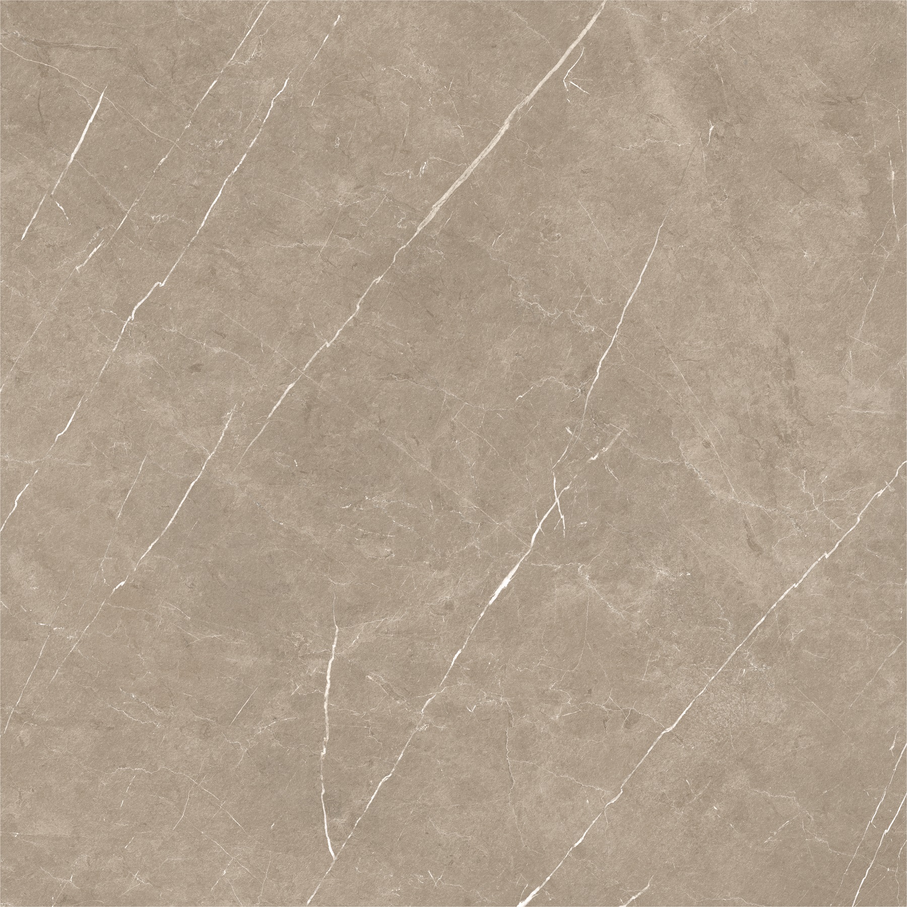 ETERNAL TAUPE NATURAL 120*120*9.5mm