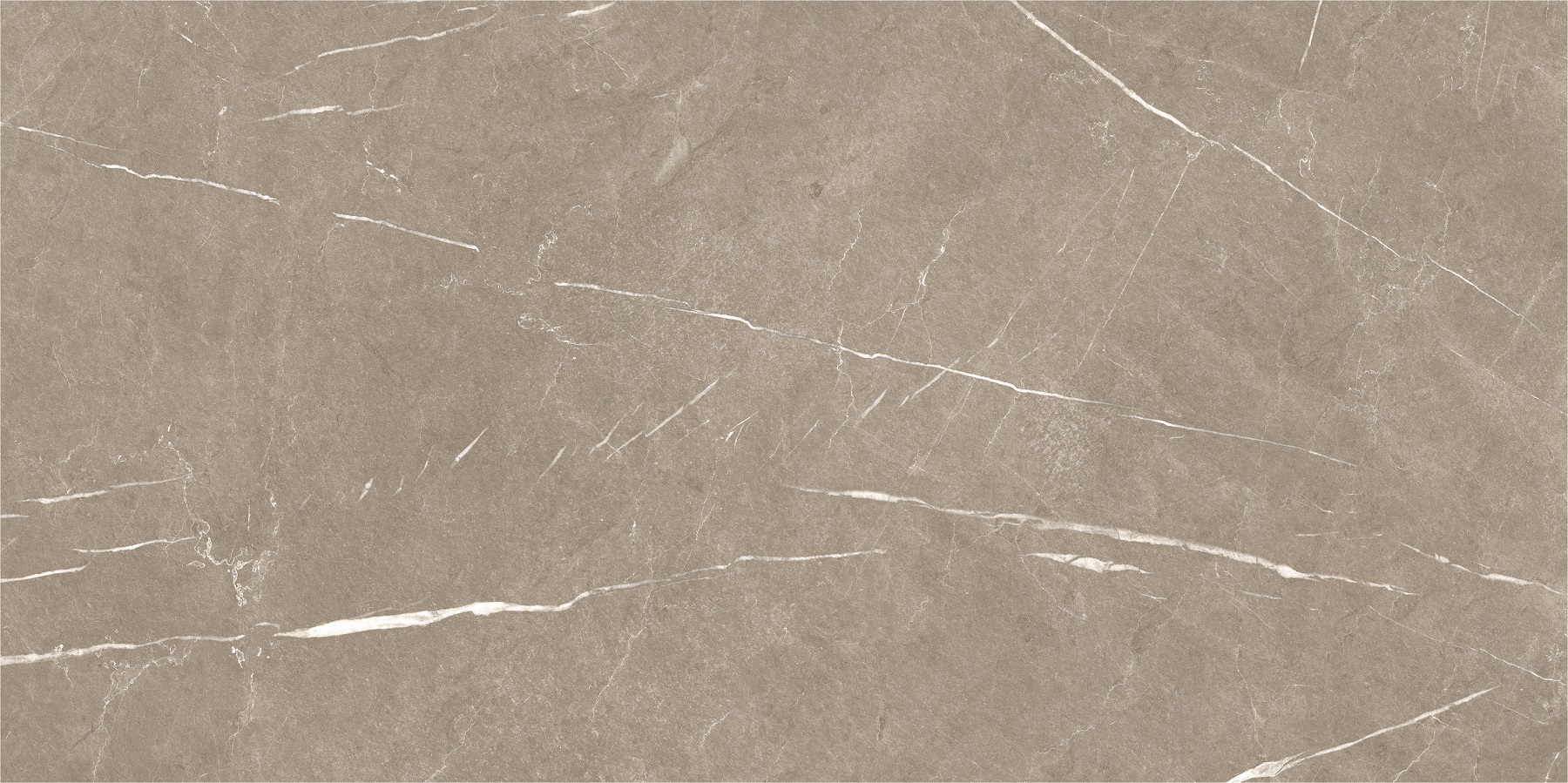 ETERNAL TAUPE NATURAL 60*120*9.5 mm