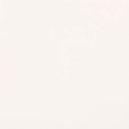 Unicolore BIANCO ASSOLUTO 60 x 120