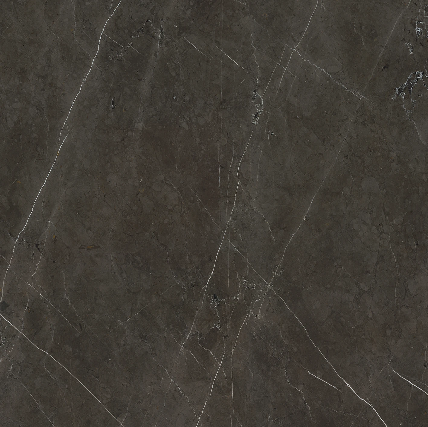 ANIMA GRAPHITE 60X120 9 mm Матова