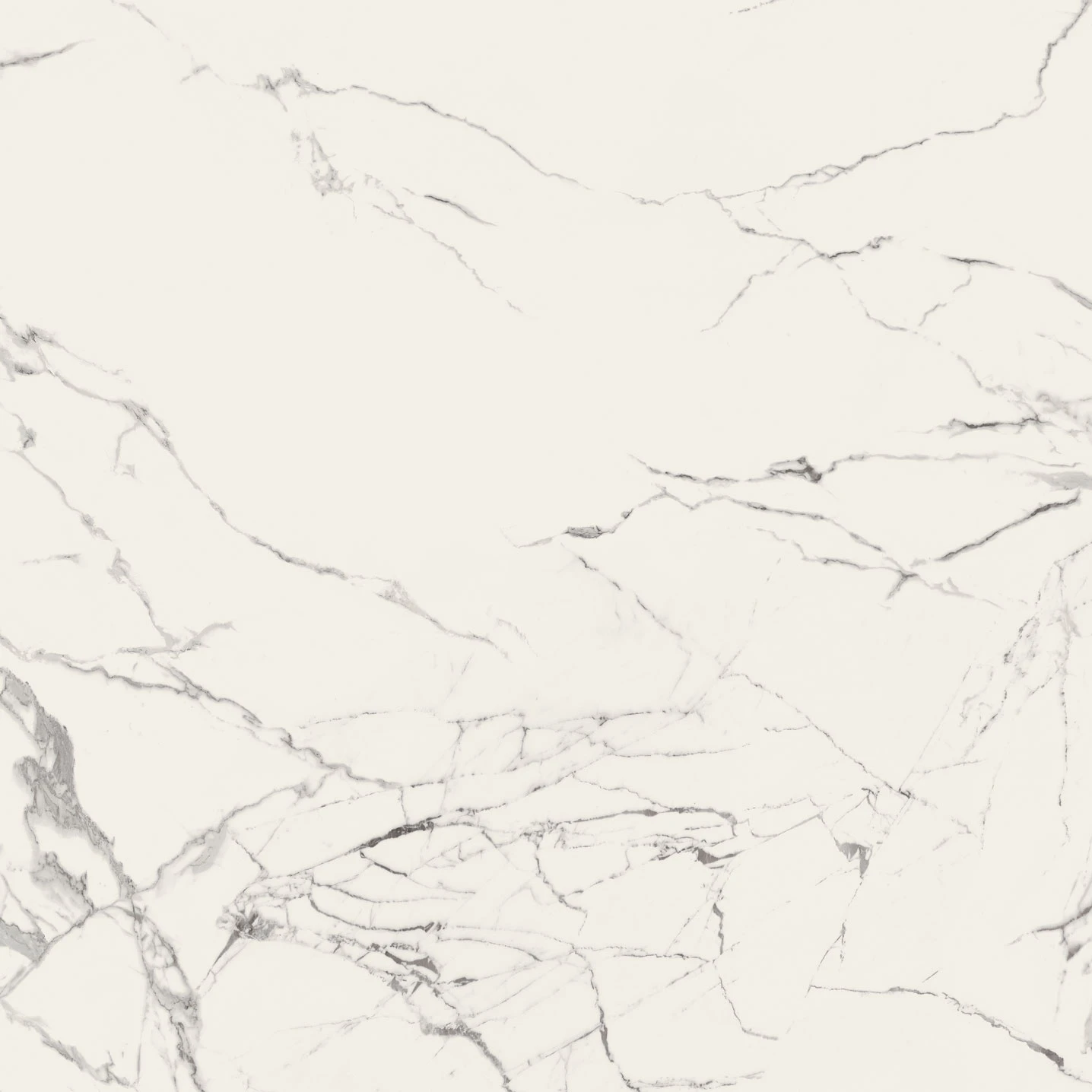 ANIMA STATUARIO VENATO 120X120 9 mm Полірована