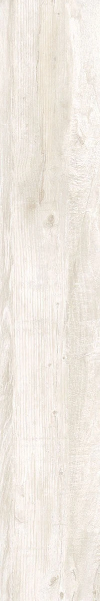 ALPI BIANCO RET 20X120