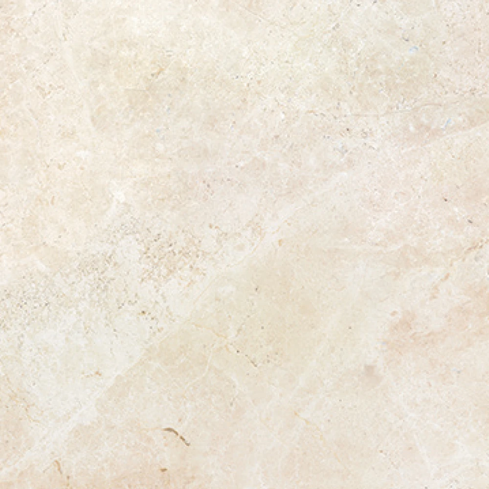 CAMAIORE LUC RET 60X60