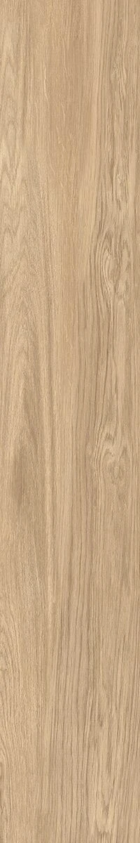 TUNDRA BIONDO RET 20X120